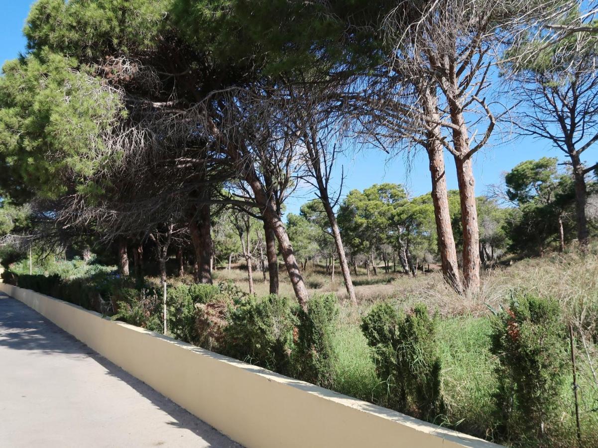 Emilia De La Playa La Mata (Torrevieja) Exterior foto