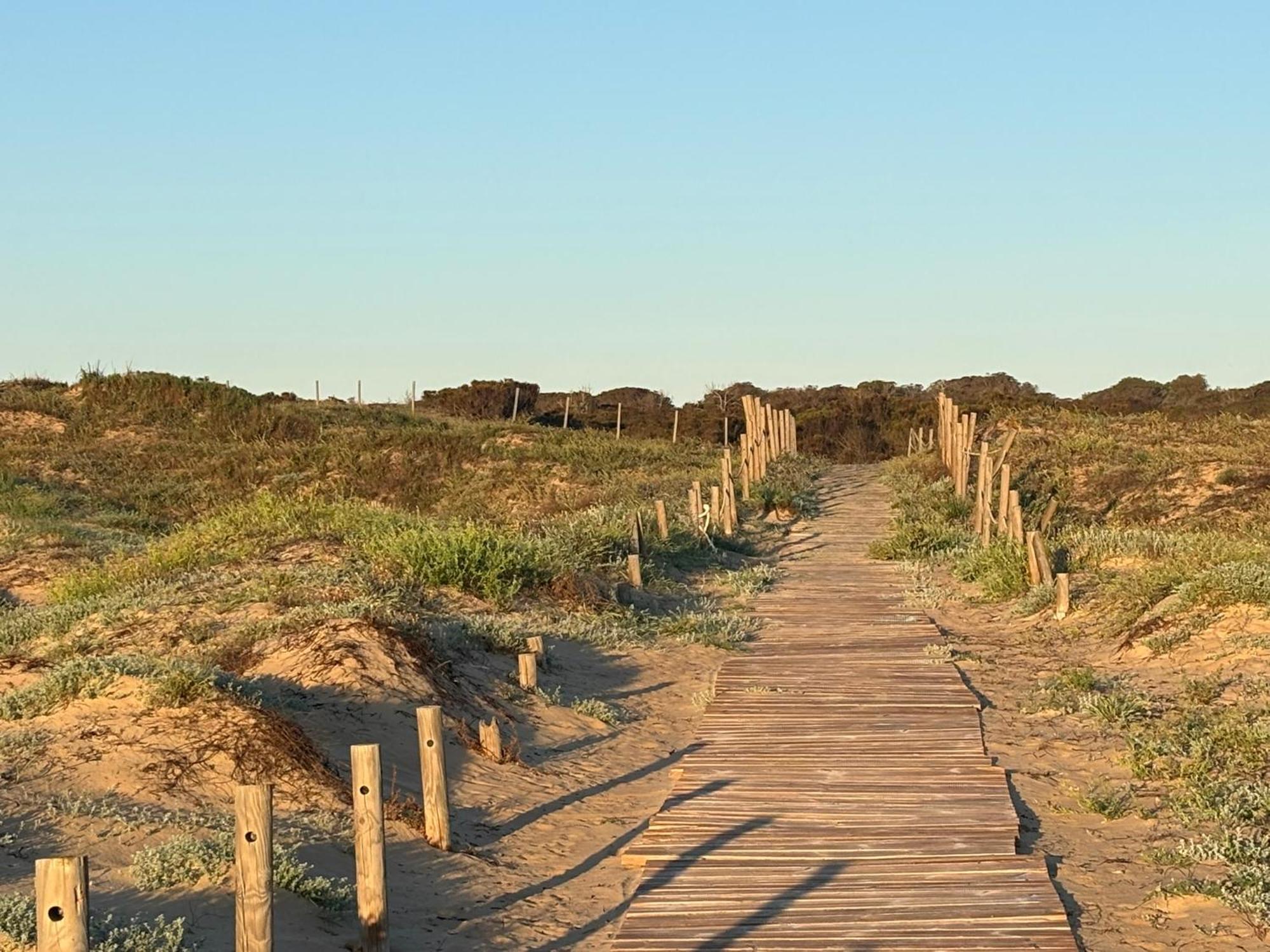 Emilia De La Playa La Mata (Torrevieja) Exterior foto